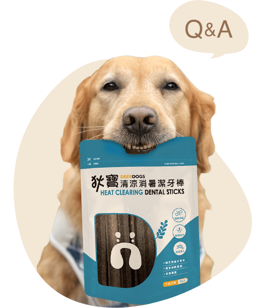 Q&A 狄寶常見問答