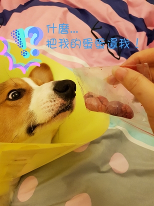 Q比