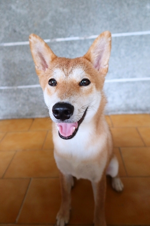 財財